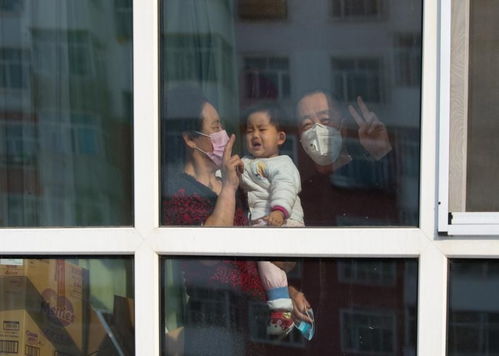 关于征集2020年青年文艺创作扶持计划项目企业形象策划方案的通知